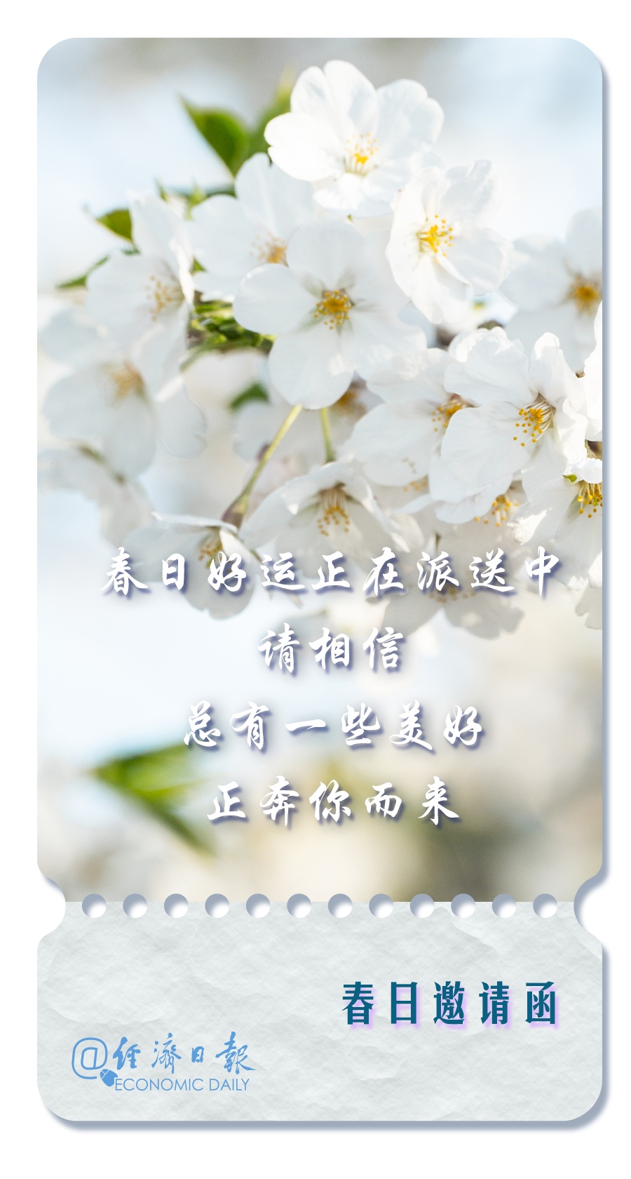 这里有一份春日邀请函