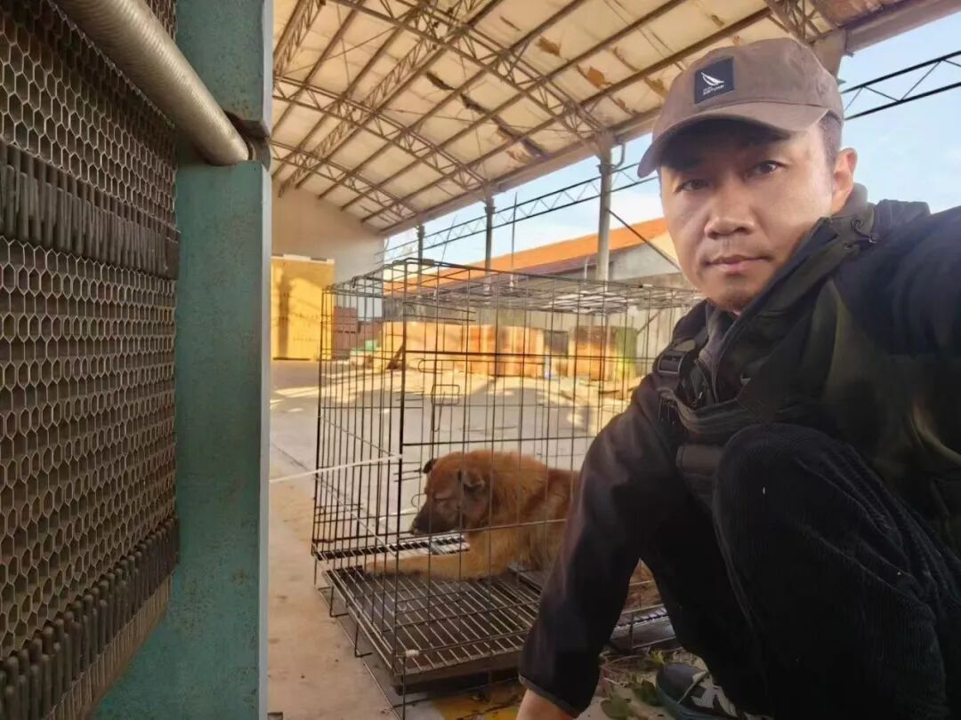 花8000元找猫,结果就在屋里? 花8000元找猫,结果就在屋里?