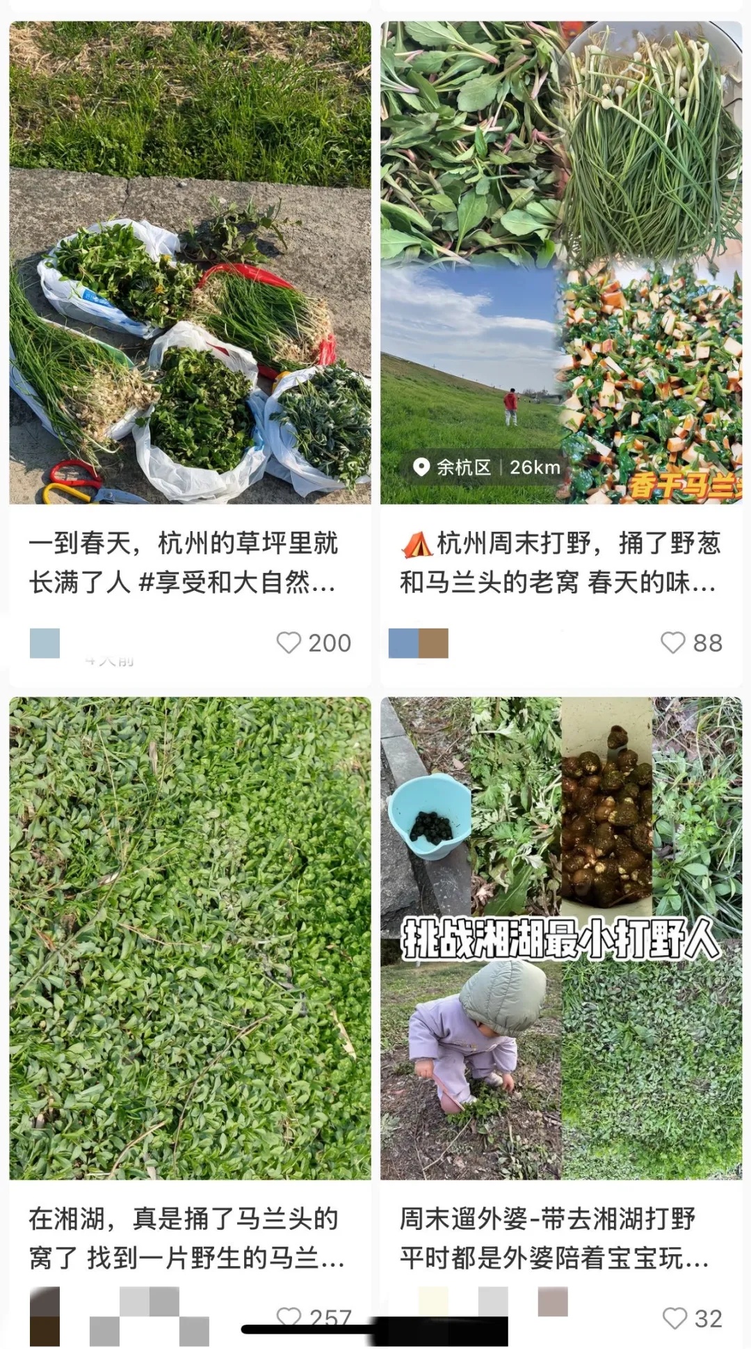 不要乱挖！不要乱采！不要乱吃！浙江一大伯中招，右肺严重毁损……