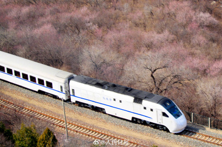 年度限定!北京今年的花海列车上线了 年度限定!北京今年的花海列车上线了