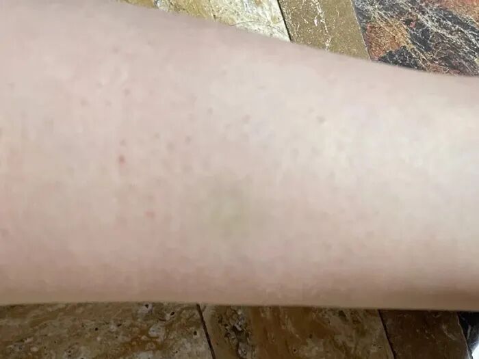 长沙一小区有人散养猪并追人拱人?物业回应:业主养的宠物猪 长沙一小区有人散养猪并追人拱人?物业回应:业主养的宠物猪