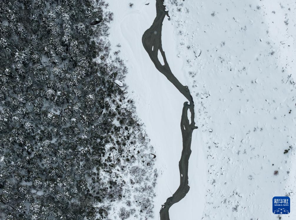 西藏林芝:感受高原三月雪 西藏林芝:感受高原三月雪