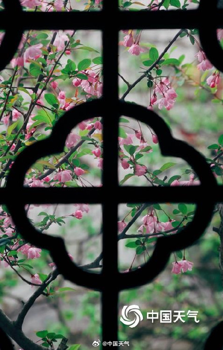 2026全国寻春地图 2026全国寻春地图