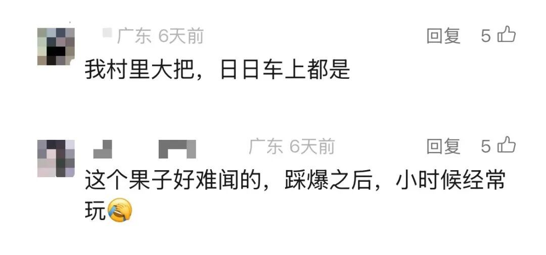 不要踩,快躲开!广东街头大量出现,多人已中招 不要踩,快躲开!广东街头大量出现,多人已中招