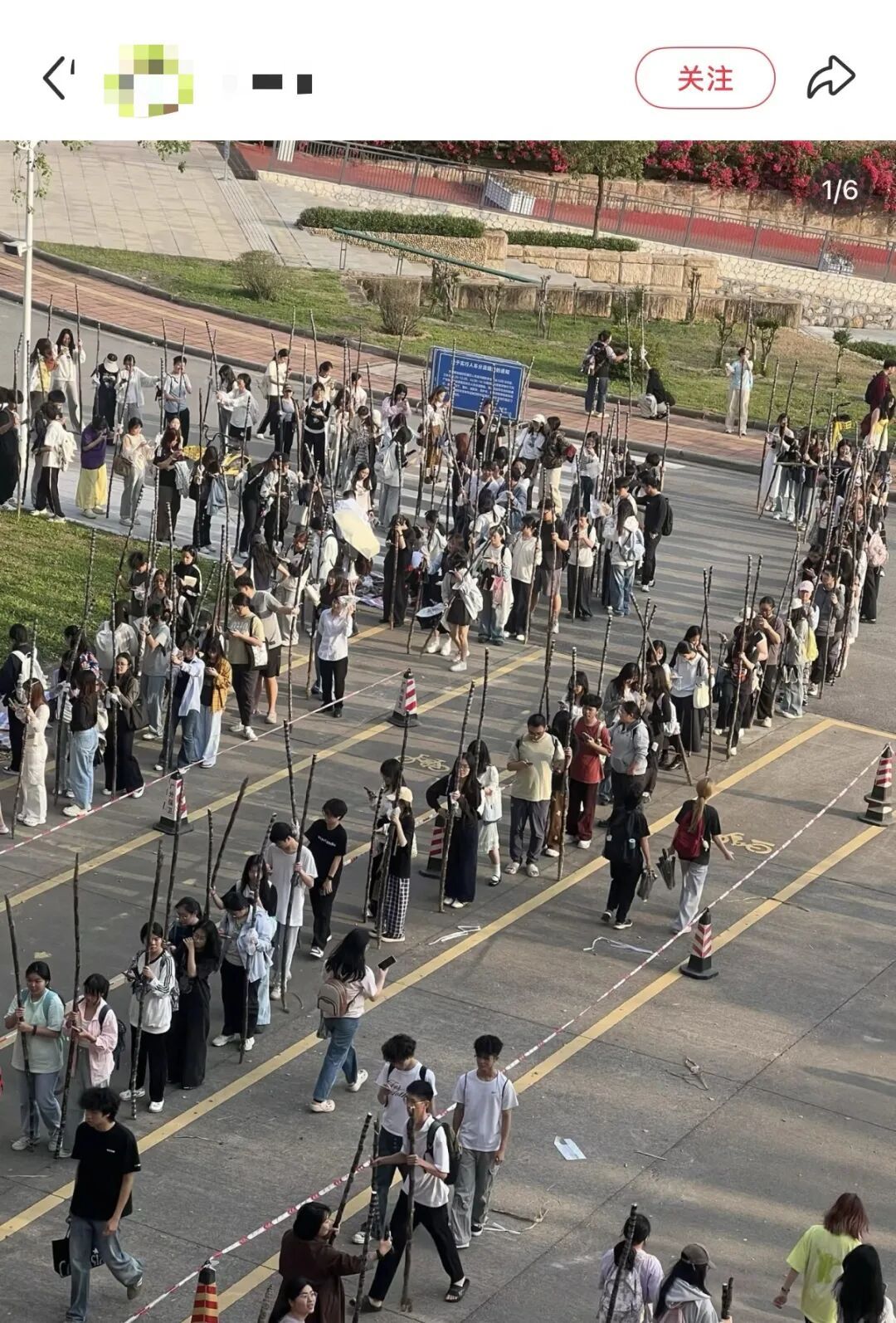 广州高校学子喊话想吃甘蔗？南沙：安排！果蔗送出近千吨