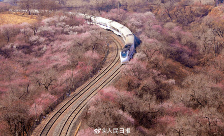 年度限定!北京今年的花海列车上线了 年度限定!北京今年的花海列车上线了