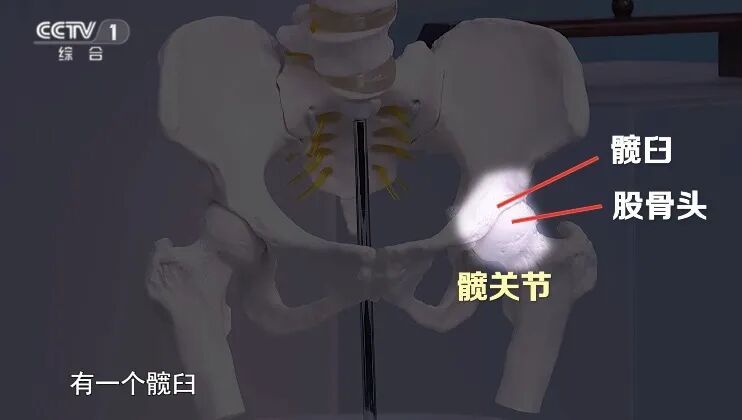 这样走路的人,你的骨头可能在“求救”! 这样走路的人,你的骨头可能在“求救”!