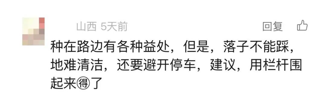 不要踩,快躲开!广东街头大量出现,多人已中招 不要踩,快躲开!广东街头大量出现,多人已中招