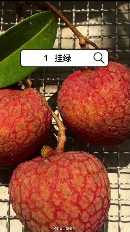 爱吃荔枝的人今年天塌了 爱吃荔枝的人今年天塌了