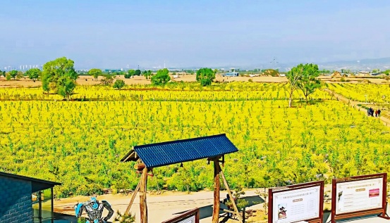 春日山西,正是好风光!这份春游指南请收好 春日山西,正是好风光!这份春游指南请收好