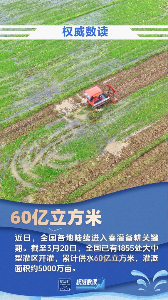 九组数据,见证大国治水的生动画卷 九组数据,见证大国治水的生动画卷