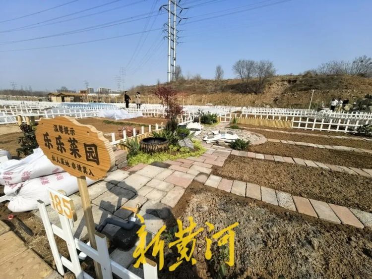 济南这片“共享菜园”为啥这么火?记者实地探访 济南这片“共享菜园”为啥这么火?记者实地探访