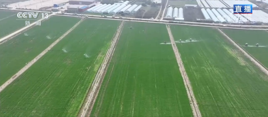 争农时、抢春管、推技术、保丰产 农业科技助力下好春耕生产“先手棋”