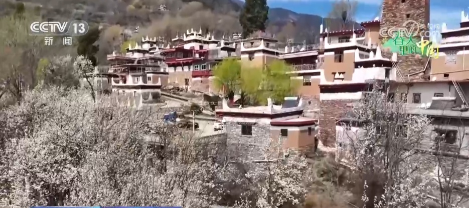 繁花绽放“美丽经济” 多彩活动点燃春日文旅消费热情 繁花绽放“美丽经济” 多彩活动点燃春日文旅消费热情