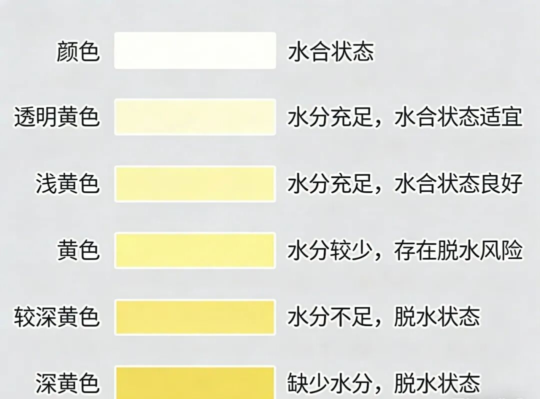 水喝多了会浮肿?苏打水能治痛风?关于喝水的5大真相,一定要知道 水喝多了会浮肿?苏打水能治痛风?关于喝水的5大真相,一定要知道