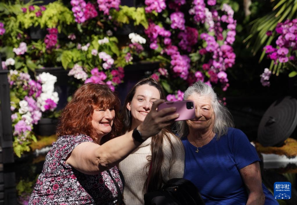 纽约植物园:兰花盛开迎春天 纽约植物园:兰花盛开迎春天