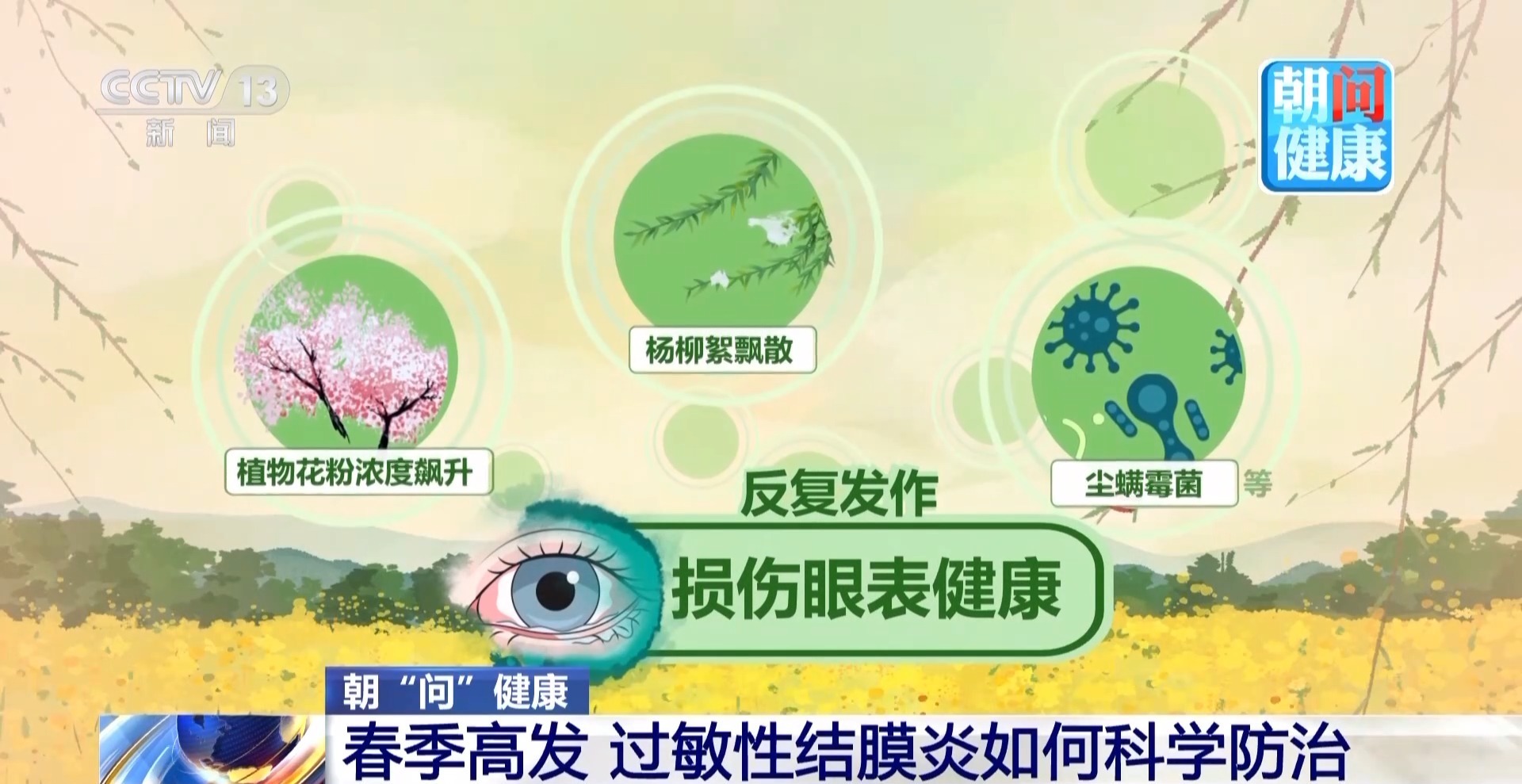 眼痒眼红别乱揉 春季过敏性结膜炎高发 专家支招 眼痒眼红别乱揉 春季过敏性结膜炎高发 专家支招