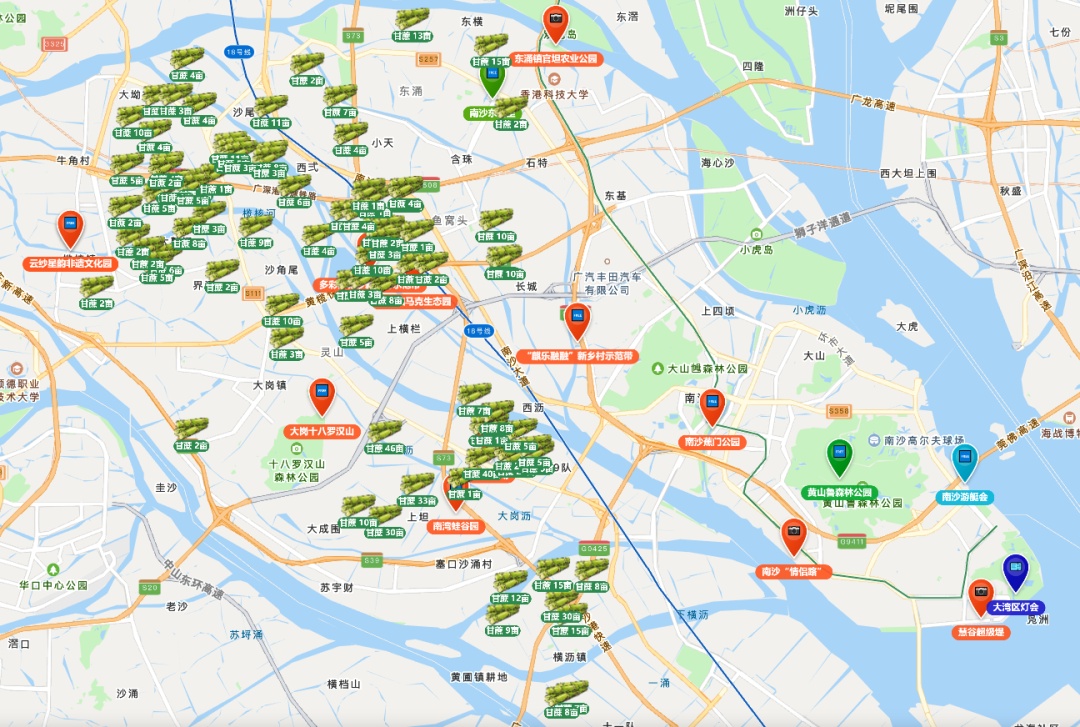 广州高校学子喊话想吃甘蔗？南沙：安排！果蔗送出近千吨