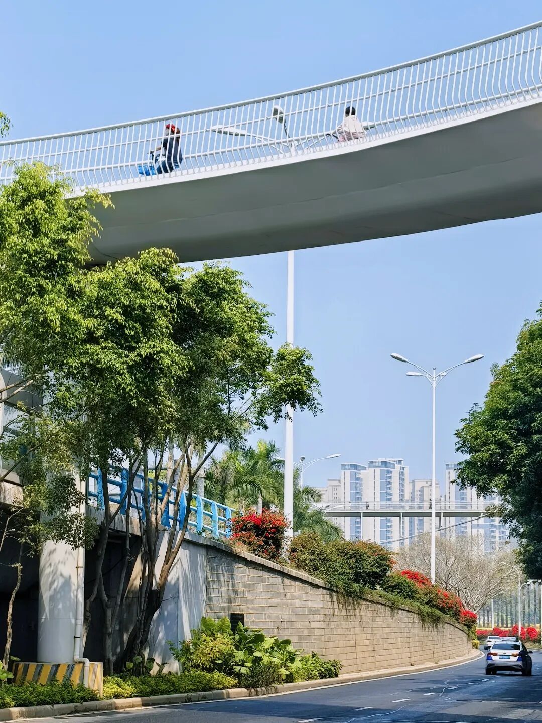 升温啦！厦门直冲27.8℃！新一股冷空气下周抵达→