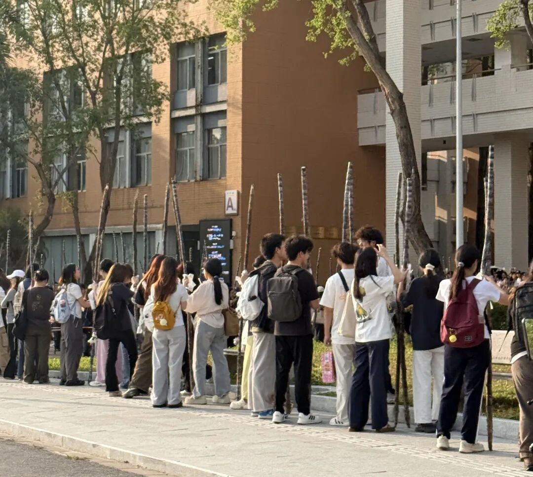 广州高校学子喊话想吃甘蔗？南沙：安排！果蔗送出近千吨