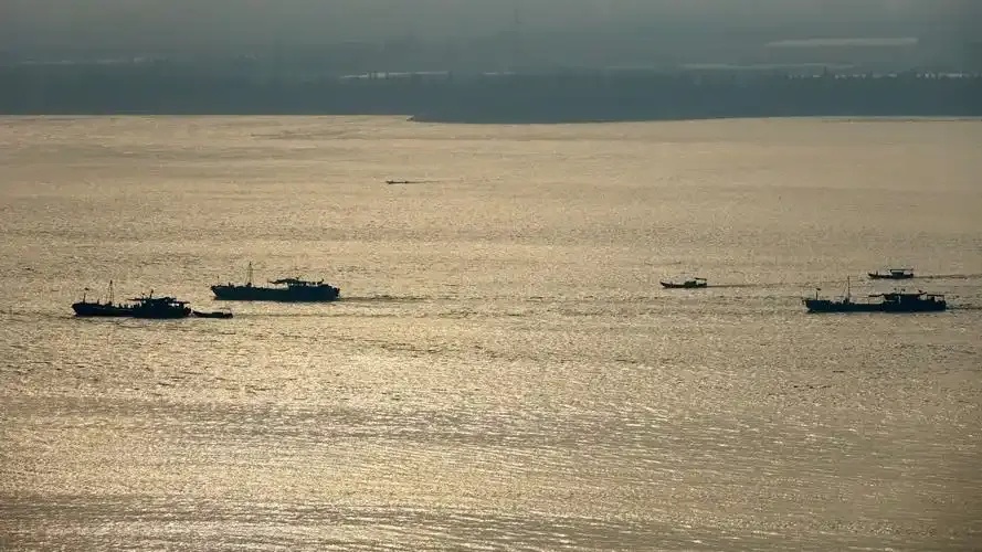 男子深夜出现在海宁钱塘江边，竟是为了这件事！