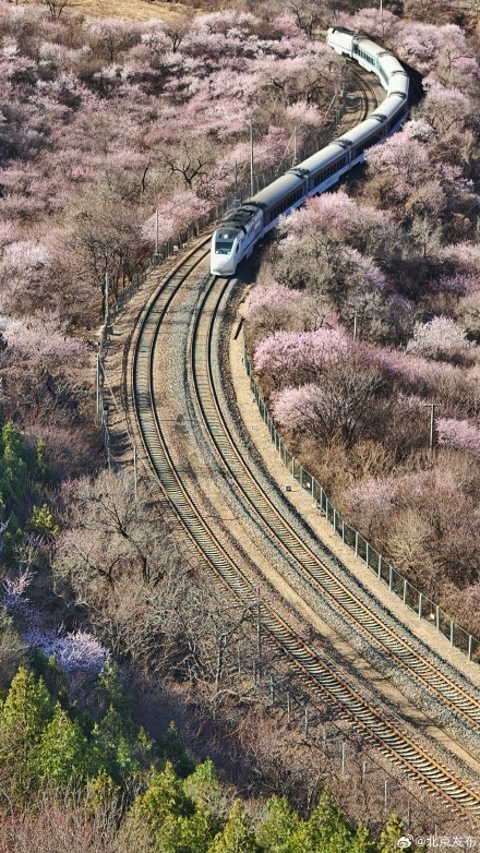 速速集合，北京这趟开往春天的列车已发车，错过真要等一年！