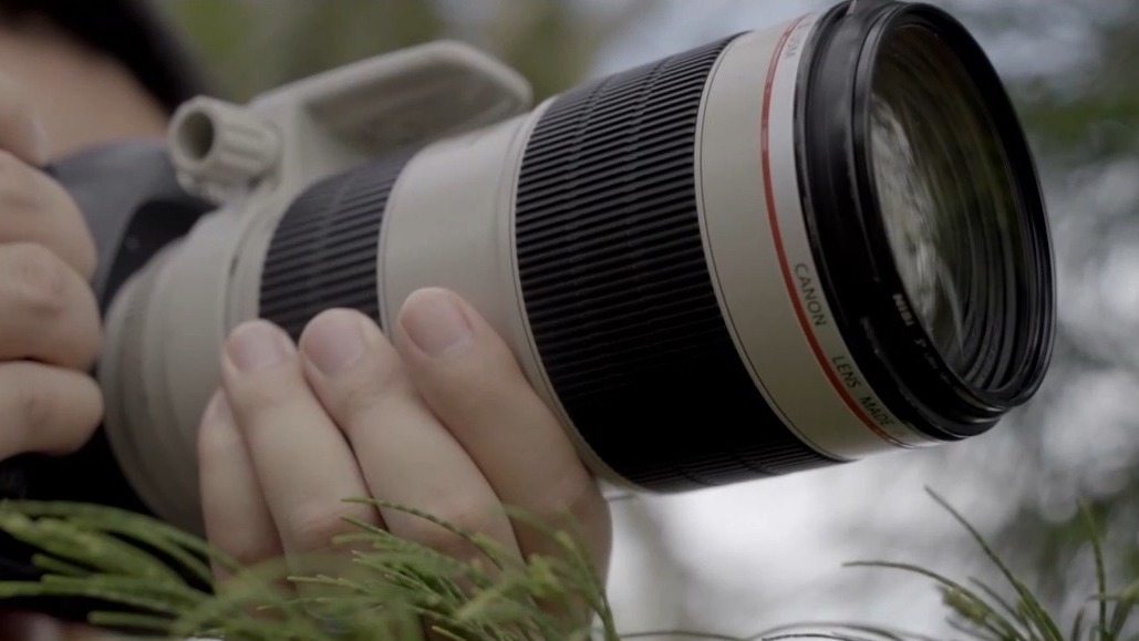 应聘别踩坑 当心“私人定制”间谍陷阱 应聘别踩坑 当心“私人定制”间谍陷阱