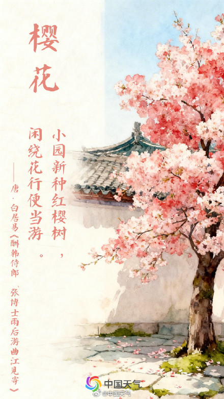 2026全国寻春地图 2026全国寻春地图