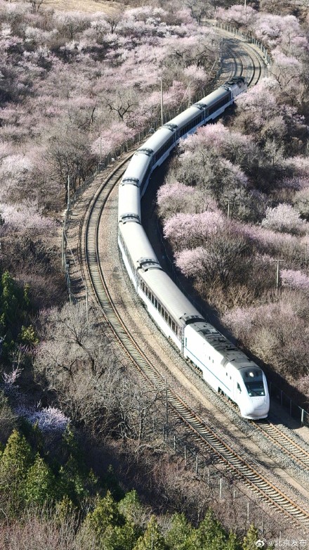 速速集合，北京这趟开往春天的列车已发车，错过真要等一年！