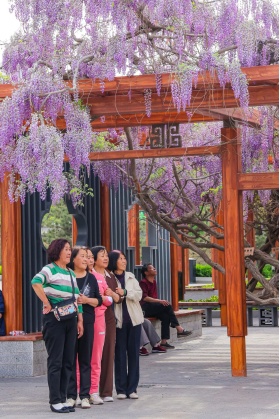 春日山西,正是好风光!这份春游指南请收好 春日山西,正是好风光!这份春游指南请收好