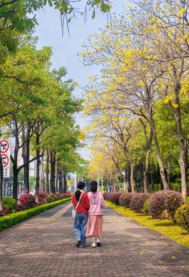 升温啦！厦门直冲27.8℃！新一股冷空气下周抵达→