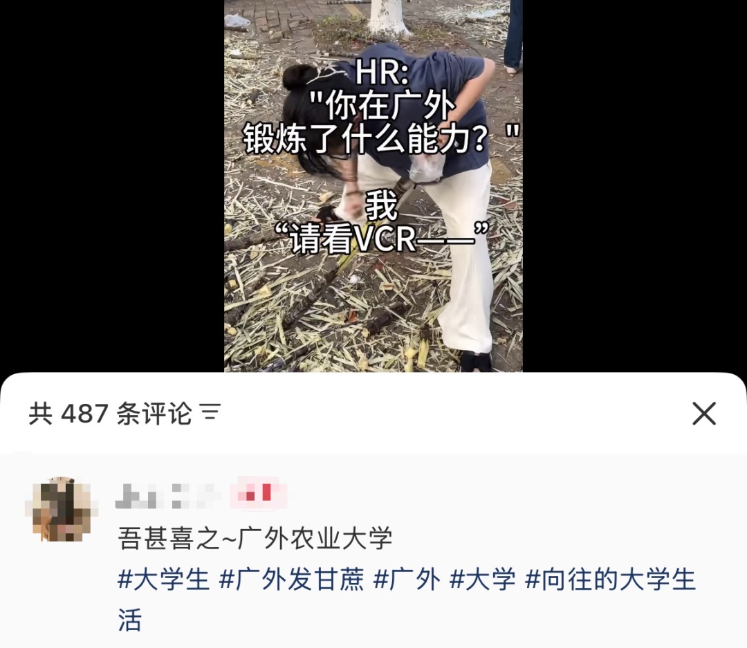 广州高校学子喊话想吃甘蔗？南沙：安排！果蔗送出近千吨