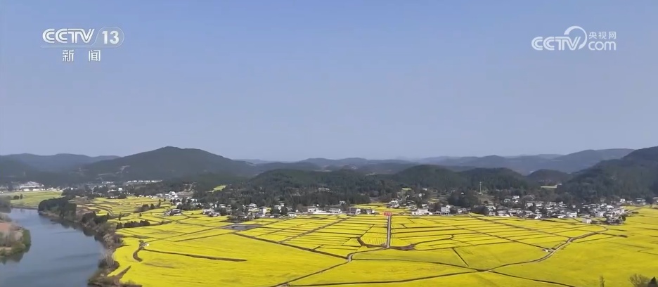 繁花绽放“美丽经济” 多彩活动点燃春日文旅消费热情 繁花绽放“美丽经济” 多彩活动点燃春日文旅消费热情