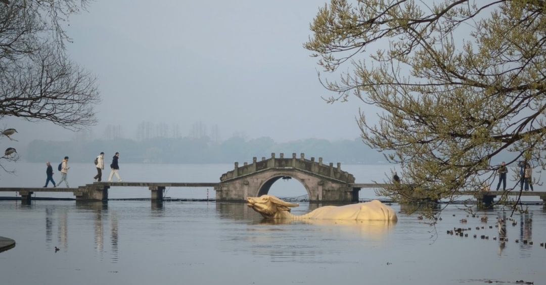 暴雨大雨雷雨！即将抵达杭州，强度很大