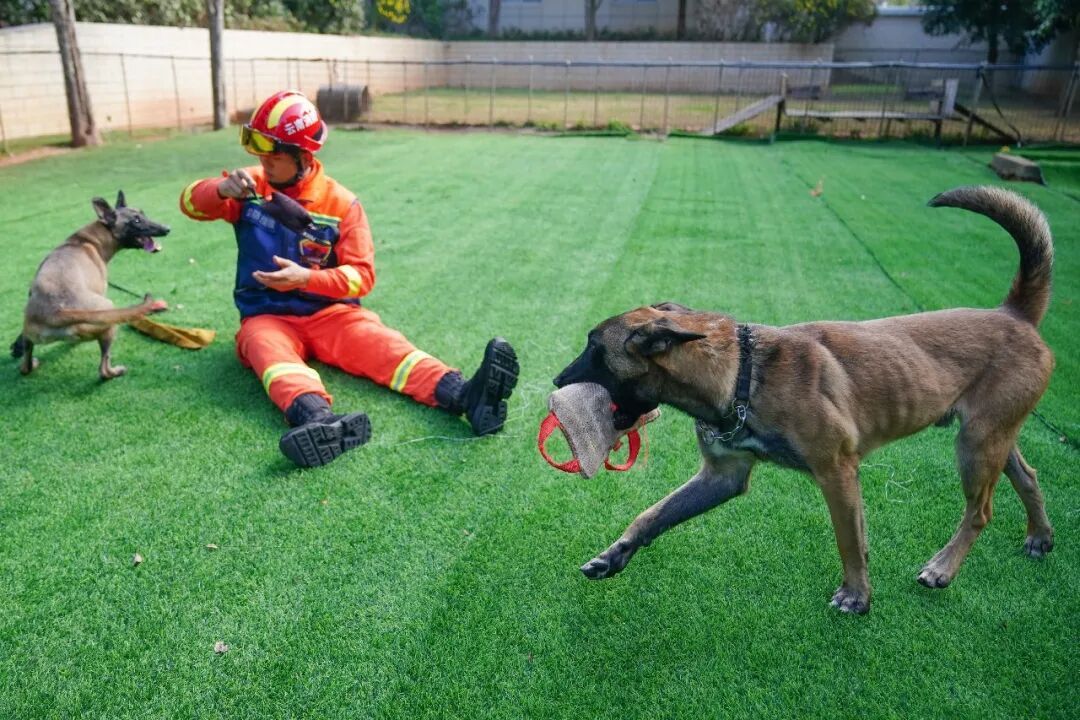 花8000元找猫,结果就在屋里? 花8000元找猫,结果就在屋里?