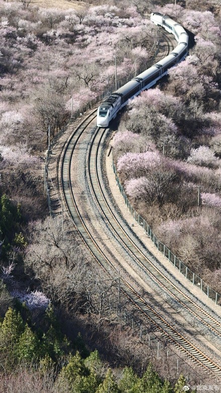速速集合，北京这趟开往春天的列车已发车，错过真要等一年！