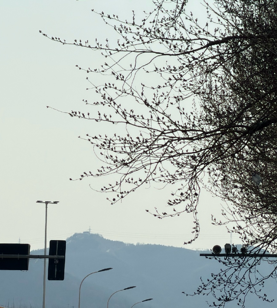 中雨、雷电、大风、降温……辽宁这场雨啥时候结束? 中雨、雷电、大风、降温……辽宁这场雨啥时候结束?
