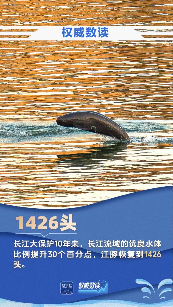 九组数据,见证大国治水的生动画卷 九组数据,见证大国治水的生动画卷