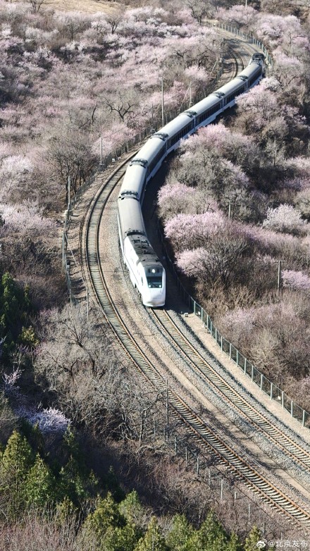 速速集合，北京这趟开往春天的列车已发车，错过真要等一年！