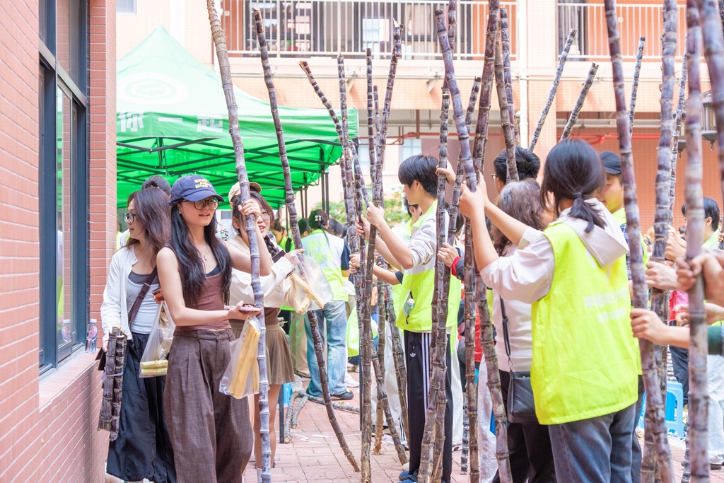 广州高校学子喊话想吃甘蔗？南沙：安排！果蔗送出近千吨
