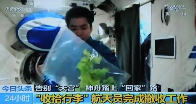 天宫“农场”又丰收了!航天员为啥要在太空当“菜农” 天宫“农场”又丰收了!航天员为啥要在太空当“菜农”