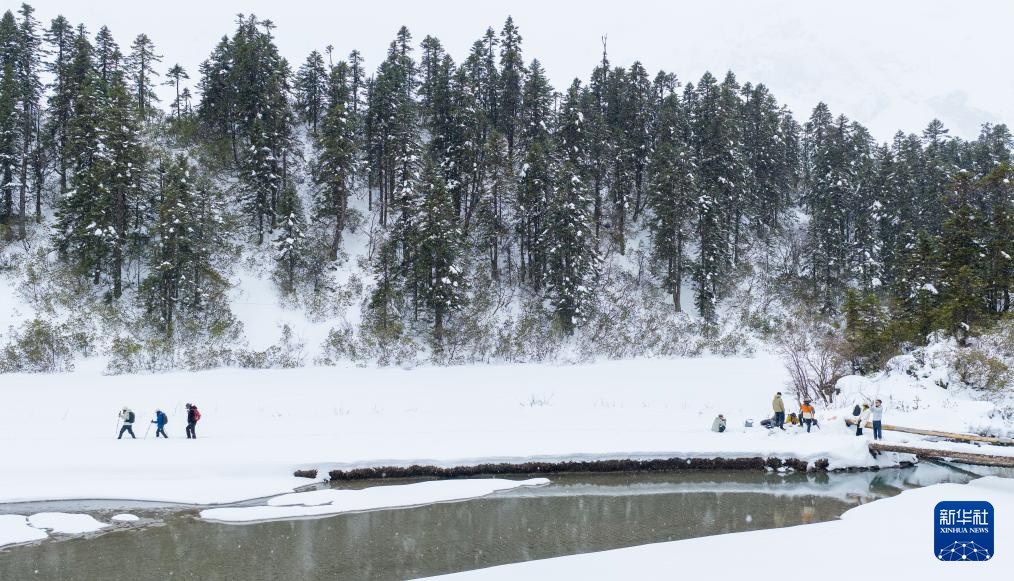 西藏林芝:感受高原三月雪 西藏林芝:感受高原三月雪