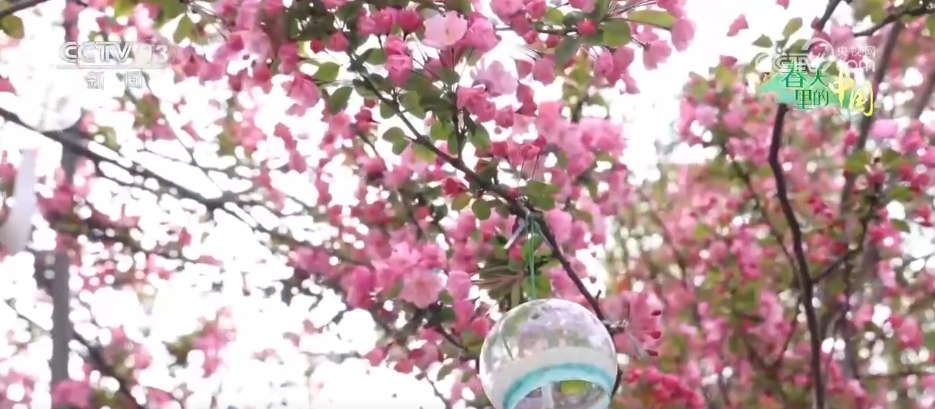 繁花绽放“美丽经济” 多彩活动点燃春日文旅消费热情 繁花绽放“美丽经济” 多彩活动点燃春日文旅消费热情