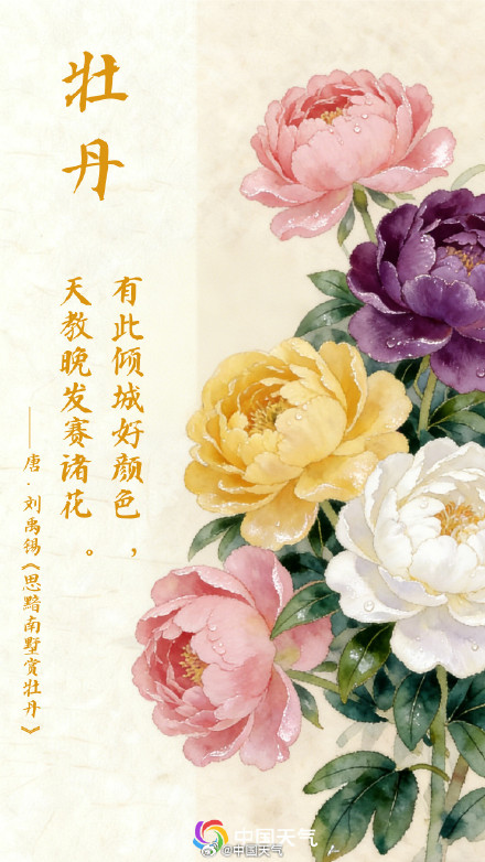 2026全国寻春地图 2026全国寻春地图