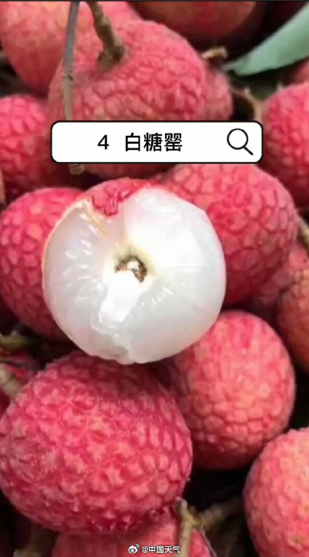 爱吃荔枝的人今年天塌了 爱吃荔枝的人今年天塌了