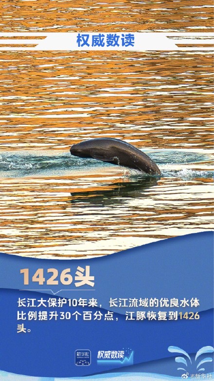 9组数据见证大国治水生动画卷