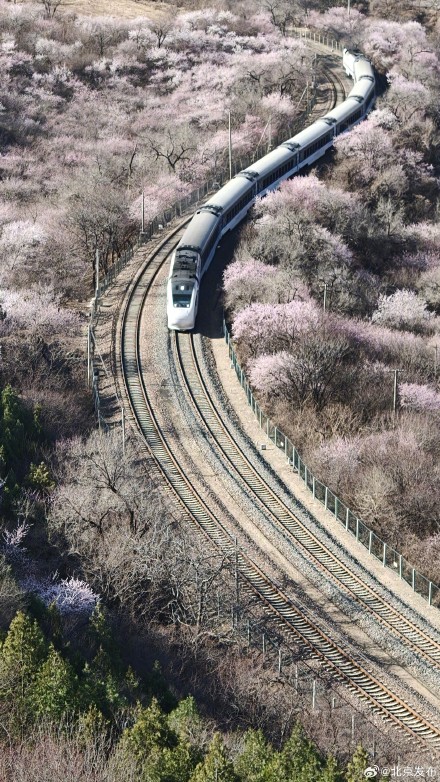 速速集合，北京这趟开往春天的列车已发车，错过真要等一年！