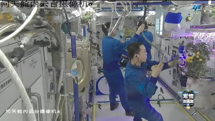 天宫“农场”又丰收了!航天员为啥要在太空当“菜农” 天宫“农场”又丰收了!航天员为啥要在太空当“菜农”