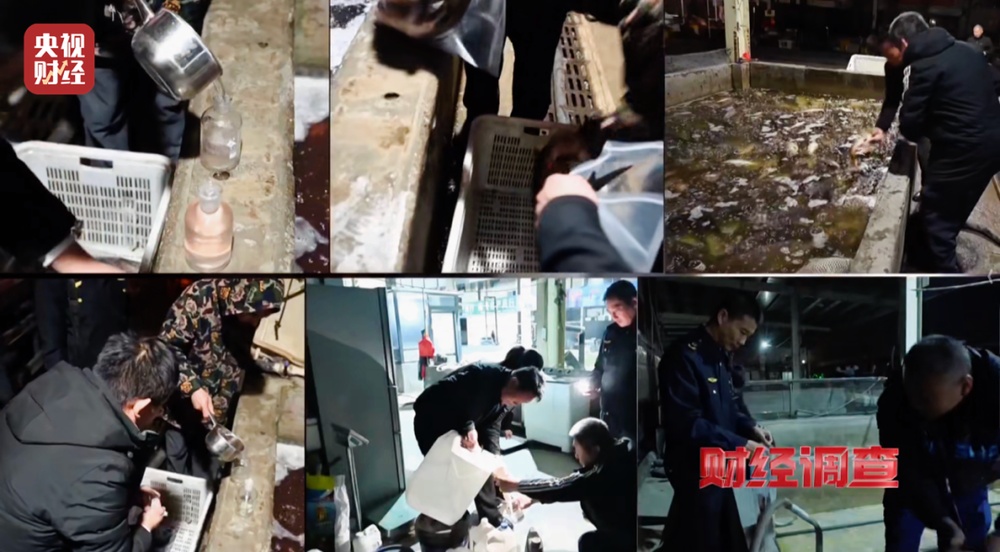 活鱼被人为麻醉流向餐桌,可能“喝过”工业酒精!《财经调查》曝光→ 活鱼被人为麻醉流向餐桌,可能“喝过”工业酒精!《财经调查》曝光→