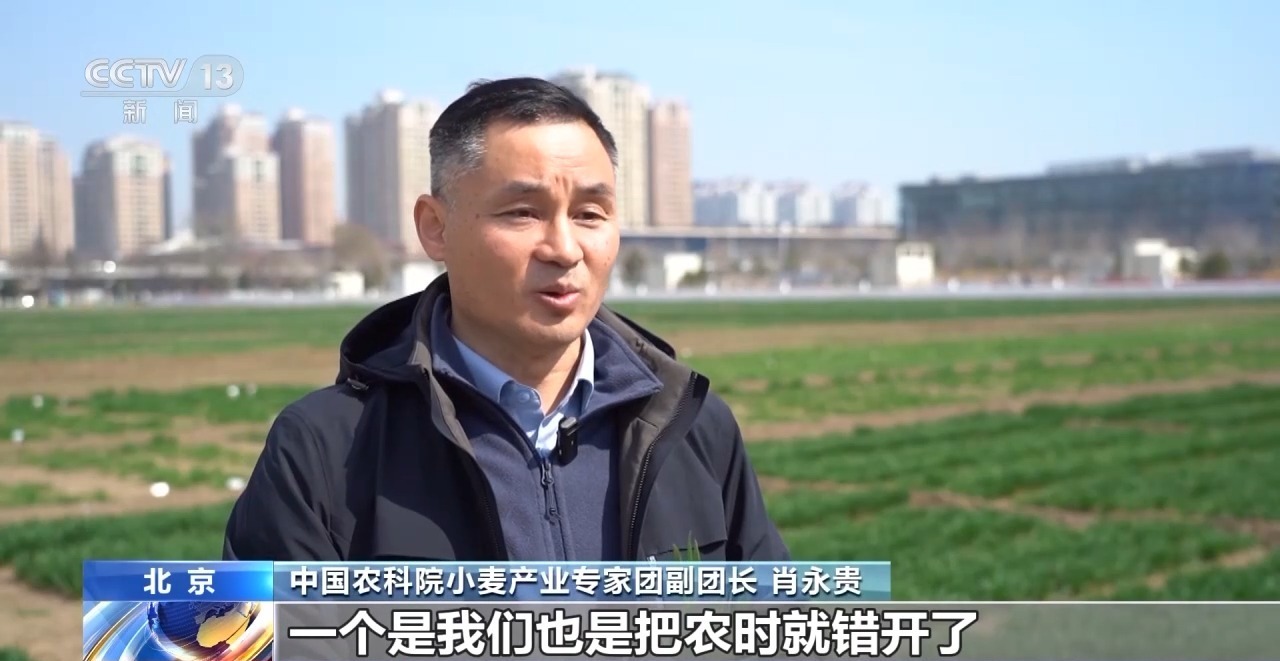 横跨90天 一场纵贯南北的春耕接力正在上演